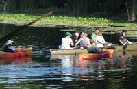 students and professor kayaking