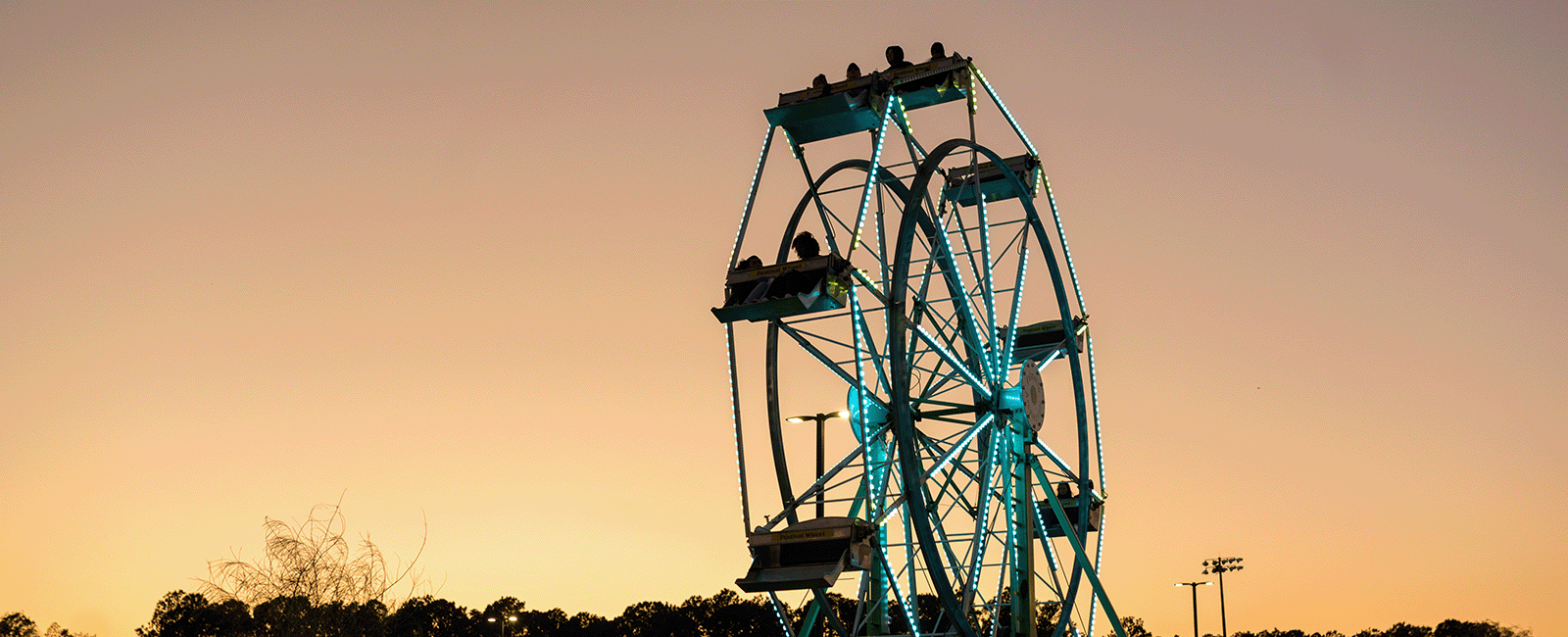 Ferris wheel at UNF in the evening