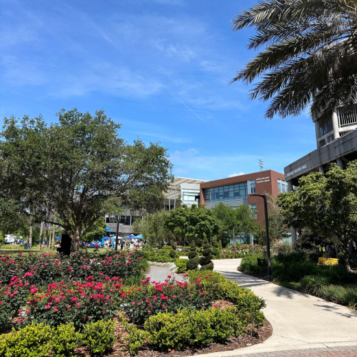Photo of campus: Student union in the background, rose bushes in the forefront 