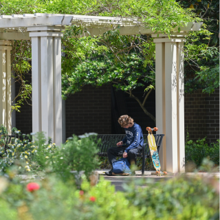Student sits under a pergola covered in greenery to study