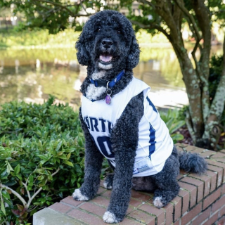 Black dog in a UNF jersey sits poses in front of pond