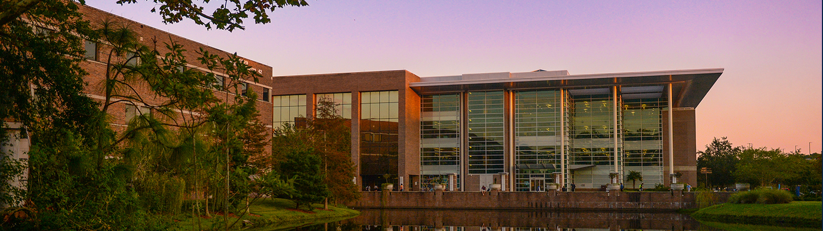 carpenter library at sunset