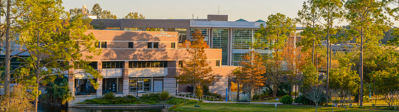 coggin college of business and library at sunset