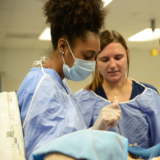 nursing students working in a practice lab