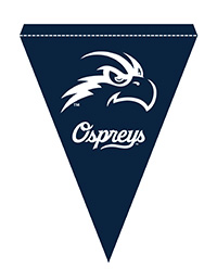 click to download blue cutout pennant with white UNF Osprey logo and Ospreys text