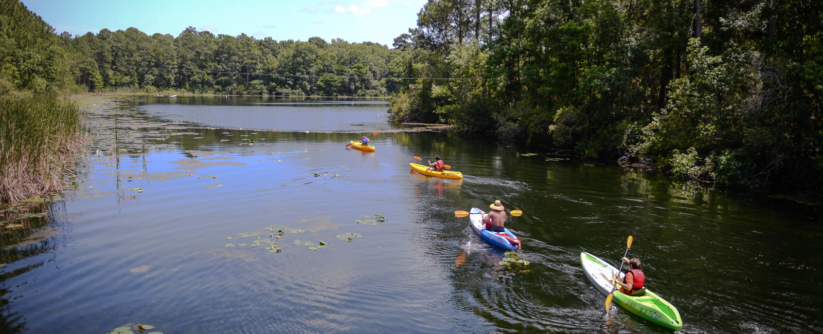 Four kayakers at the UNF Nature Preserve kayaking in the river