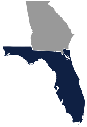 Illustration of the State of Georgia and Florida with an osprey over Jacksonville