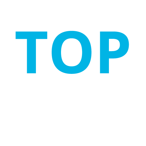 Top Public University