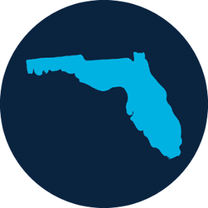 icon of state of Florida