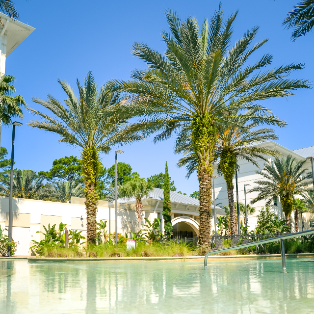 Exterior of UNF Fountains residents hall with palm trees and pool