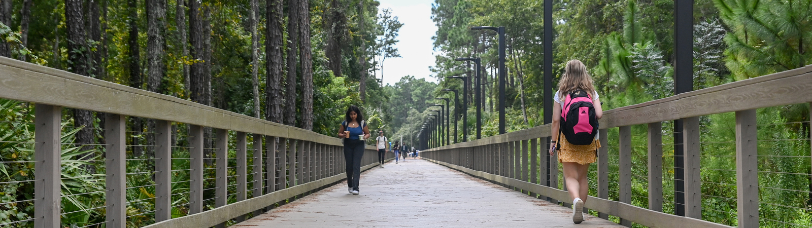People walking on boardwalk