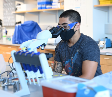 Male student in a scientific lab on campus looking into a microscope
