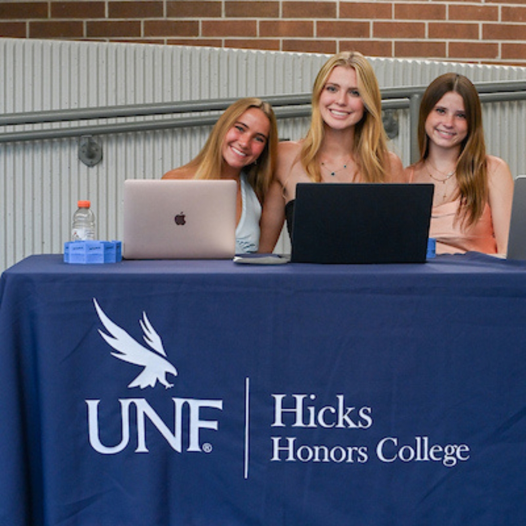 artsunf-projects-hicks-honors-college