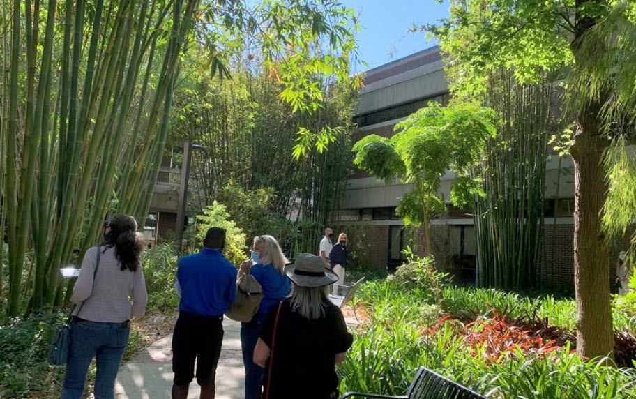 people walking through the bamboo gardens on the unf campus