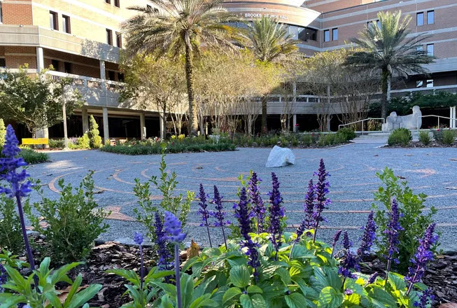 view of the healing garden with Brooks in the background