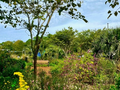 The Edge florida native garden located at parking lot 100