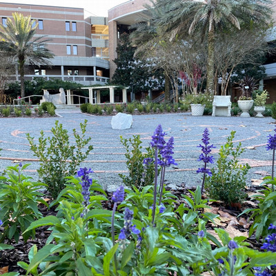 UNF Healing Garden receives Florida Yards and Neighborhoods gold-level certification