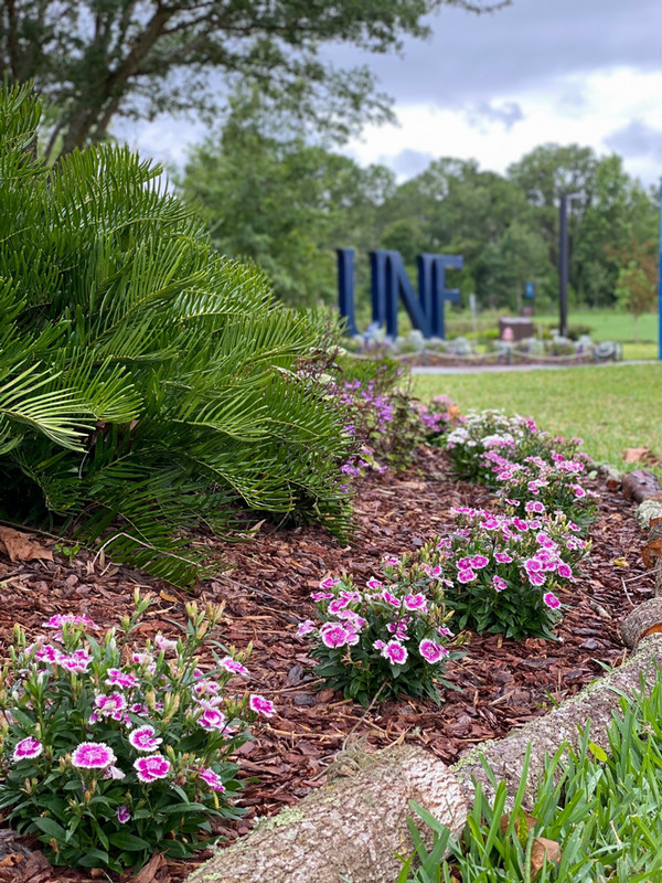 UNF Butterfly Garden