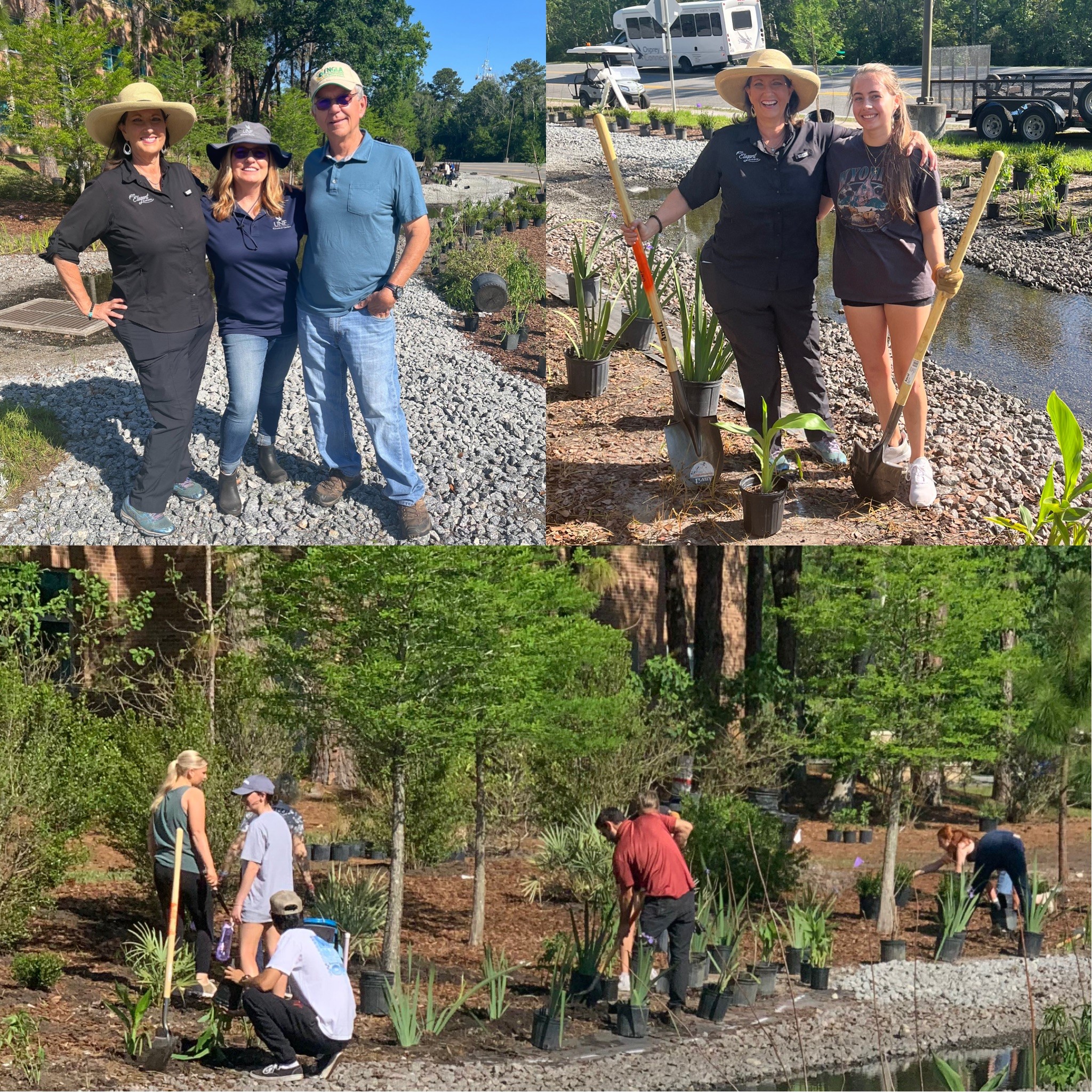 collage of three with people working planting foliage