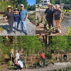 collage of three with people working planting foliage