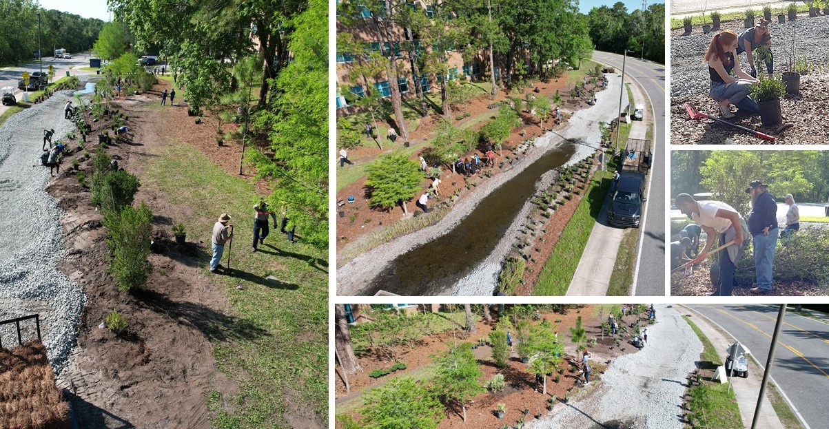 collage of volunteers planting trees and plants