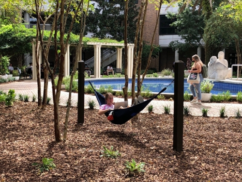 hammock within the healing garden