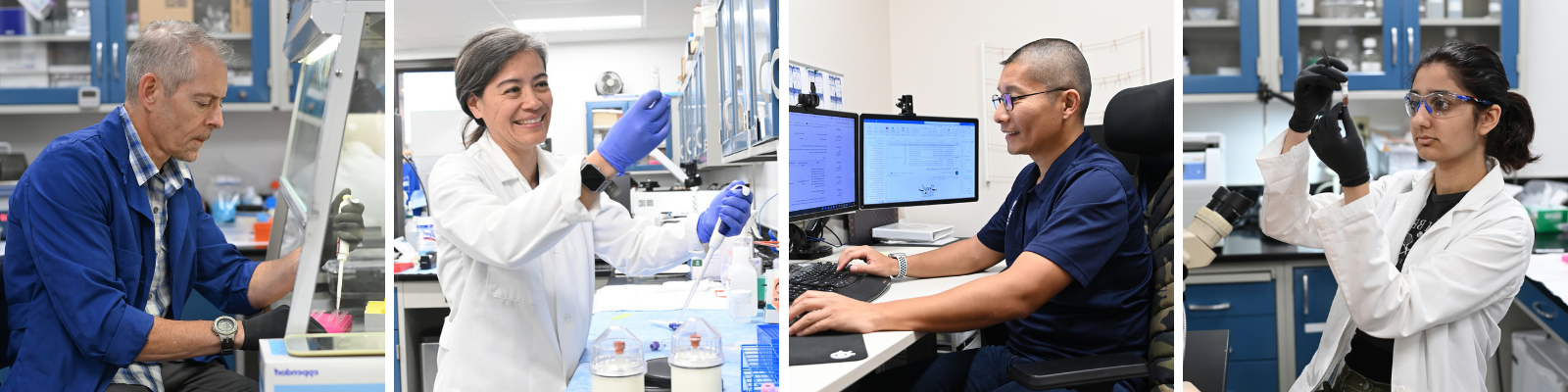 four people conducing research in a lab