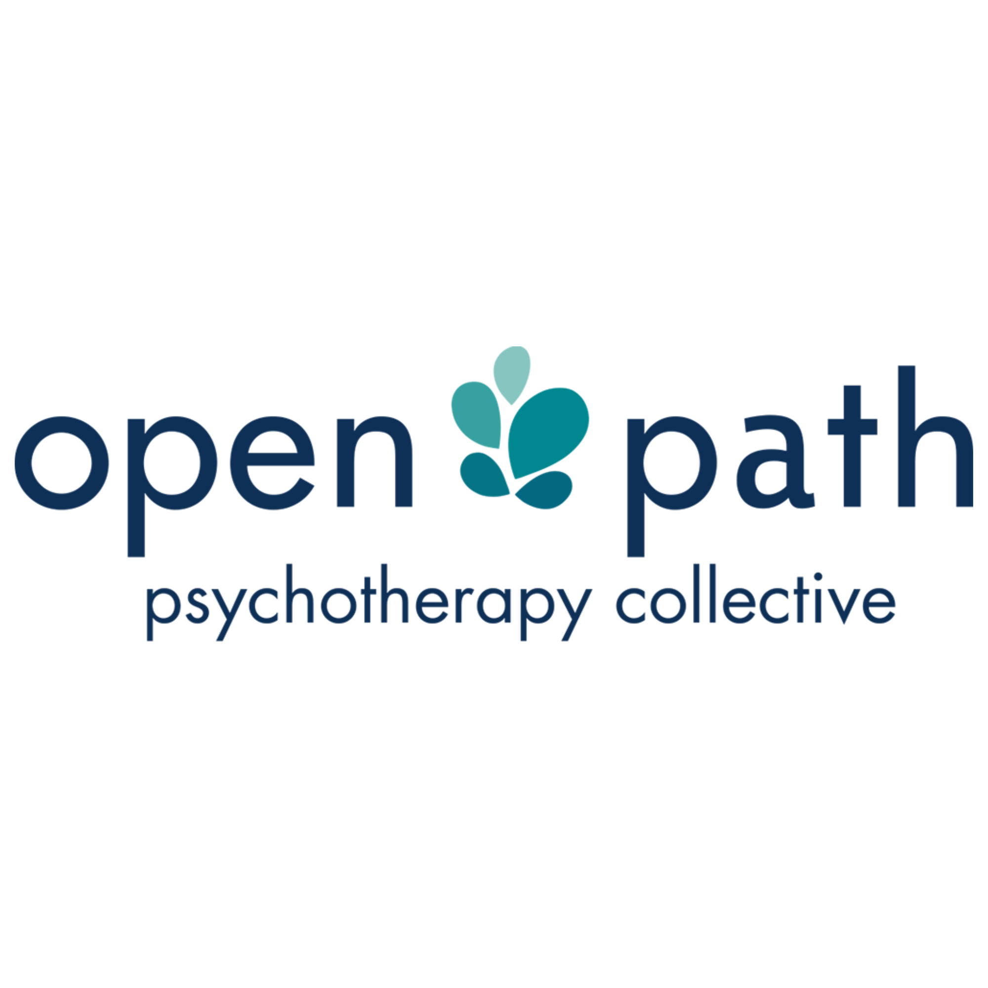 open path logo