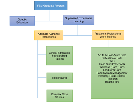 FEM-Graduate-Program-Flow-Chart.png