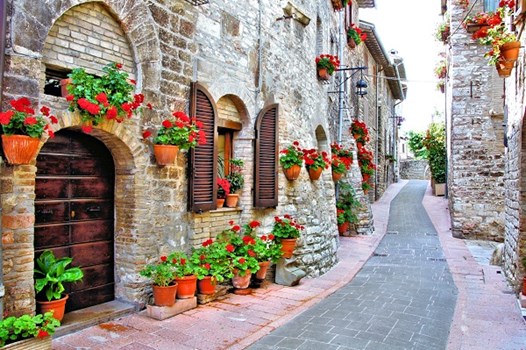 walkway street in tuscany with white buildings and red flowers