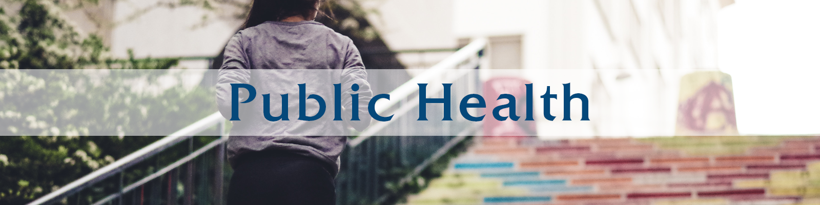 Public Health Banner