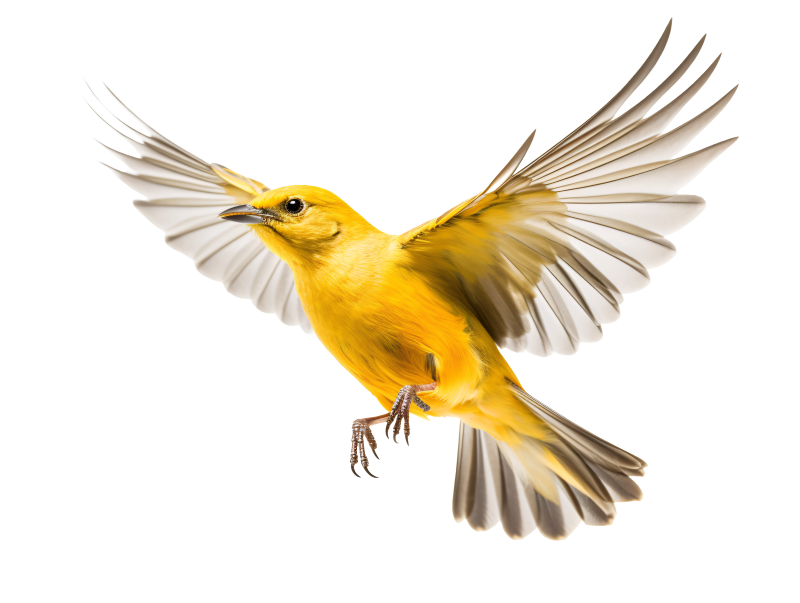 bird ai image