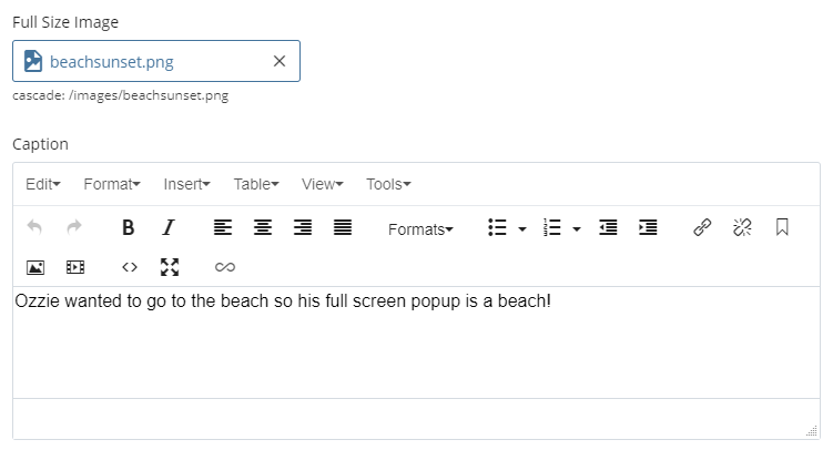 Full Size Image and Caption boxes in cascade text of Ozzie wanted to to the beach so his full screen popup is a beach!