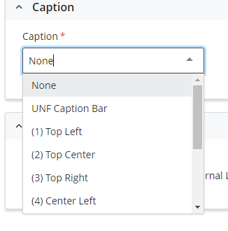 caption options