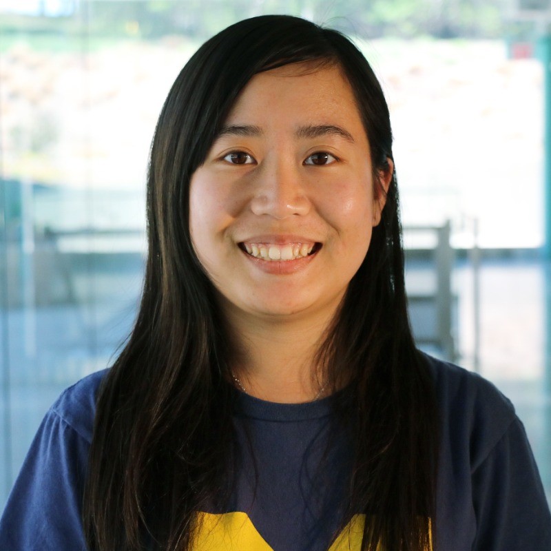Dr. Chenlan Wang, School of Computing faculty member