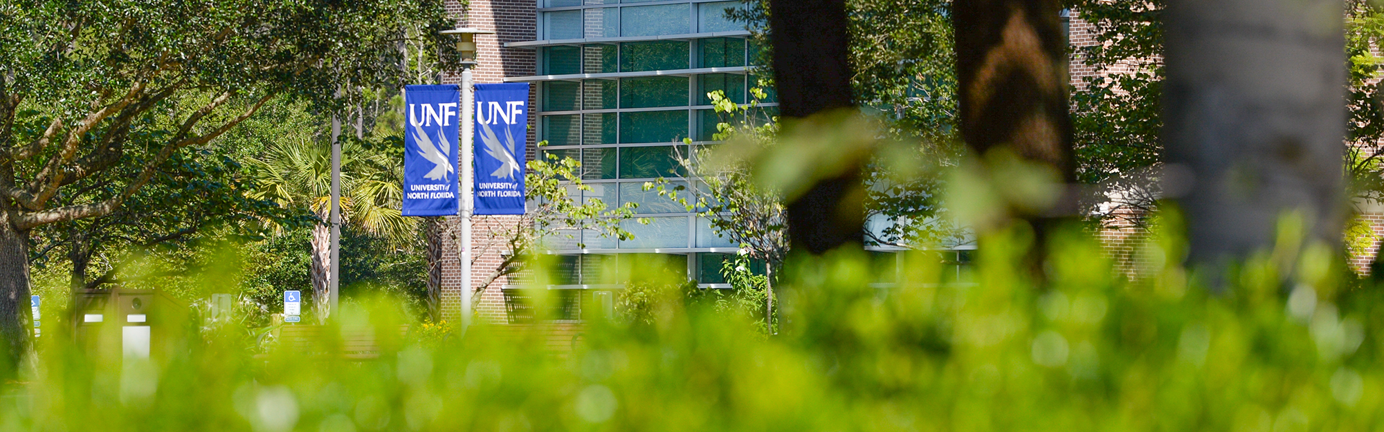 UNF banners on campus