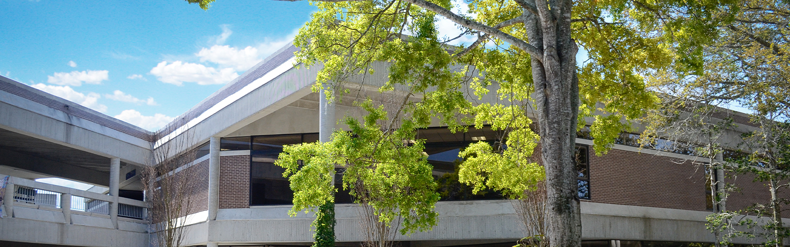 Corner view of Founders Hall Second Floor with a tree in the foreground