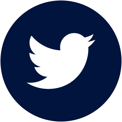 icon blue twitter