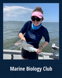 Marine Biology Club
