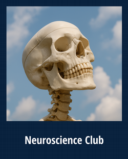 Neuroscience Club