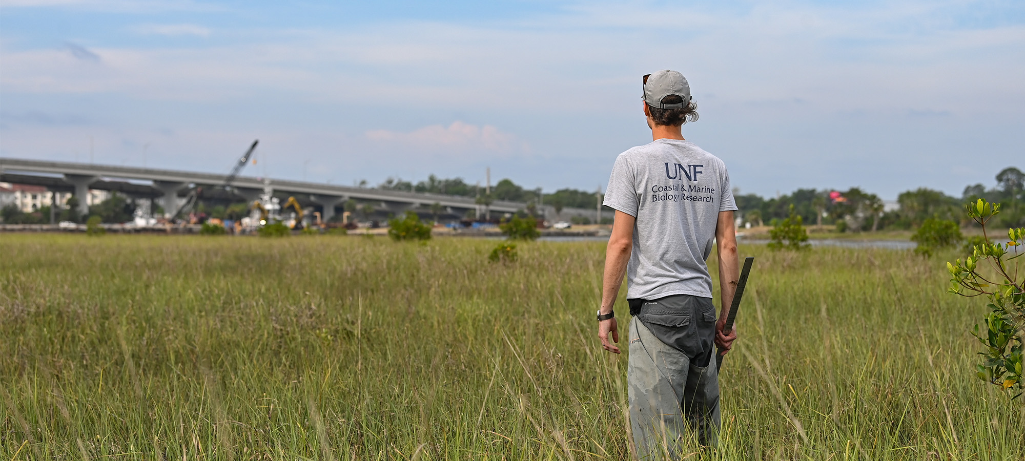 researching standing in a field looking off into the distance at a nearby bridge and river
