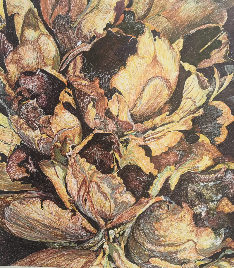 Featured work by Nofa Farha Dixon