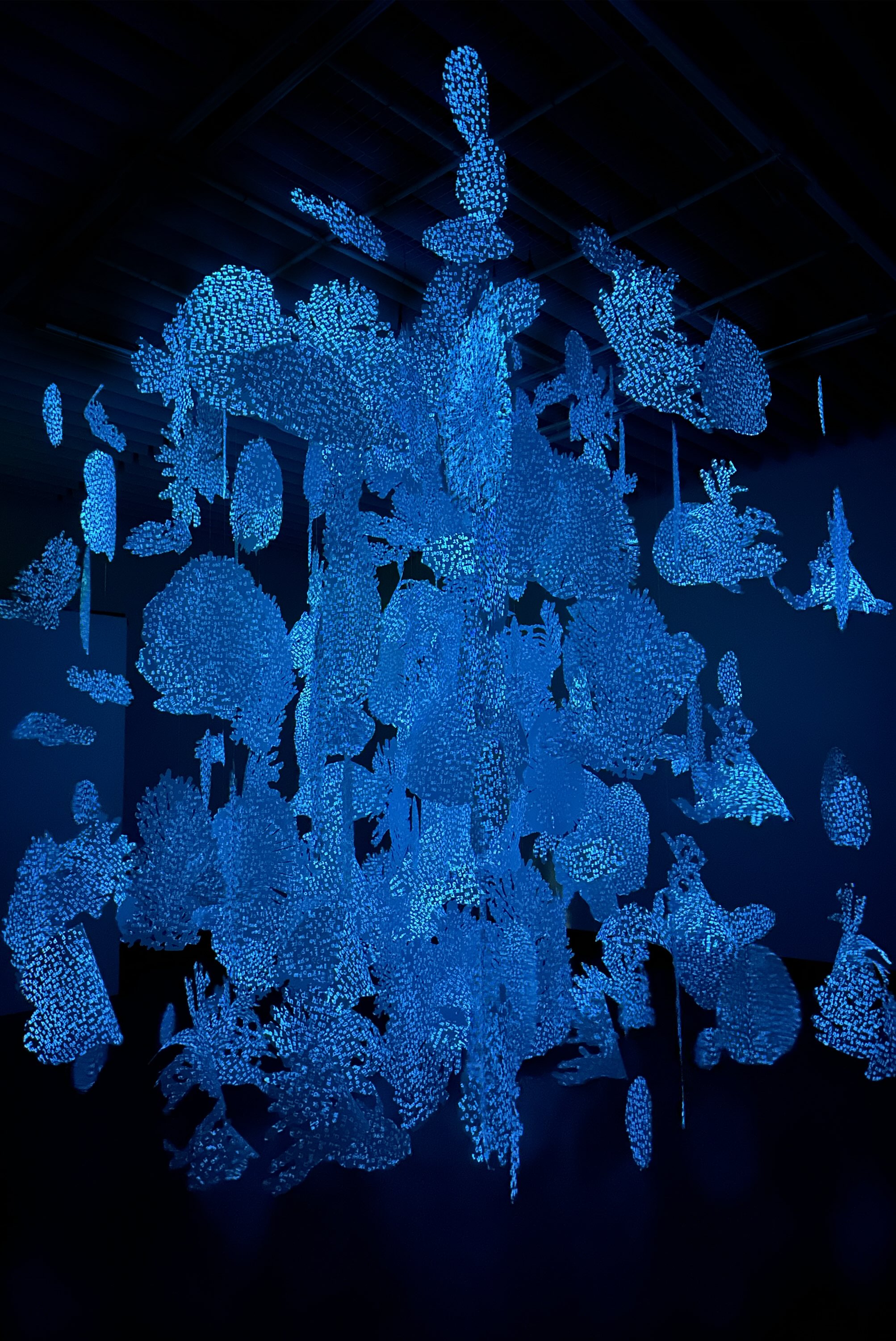 Featured work by Sheila Goloborotko