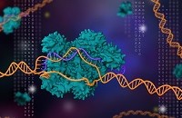 biomedical sciences dna and cells