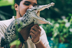 student holding alligator