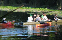 students and professor kayaking