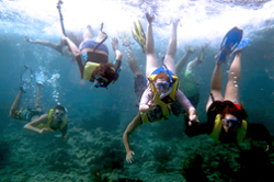 students in coastal marine snorkeling