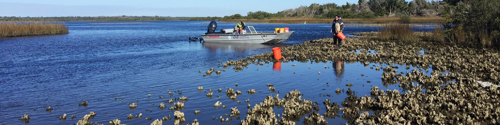 Students working on a UNF river boat with oyster beds nearby
