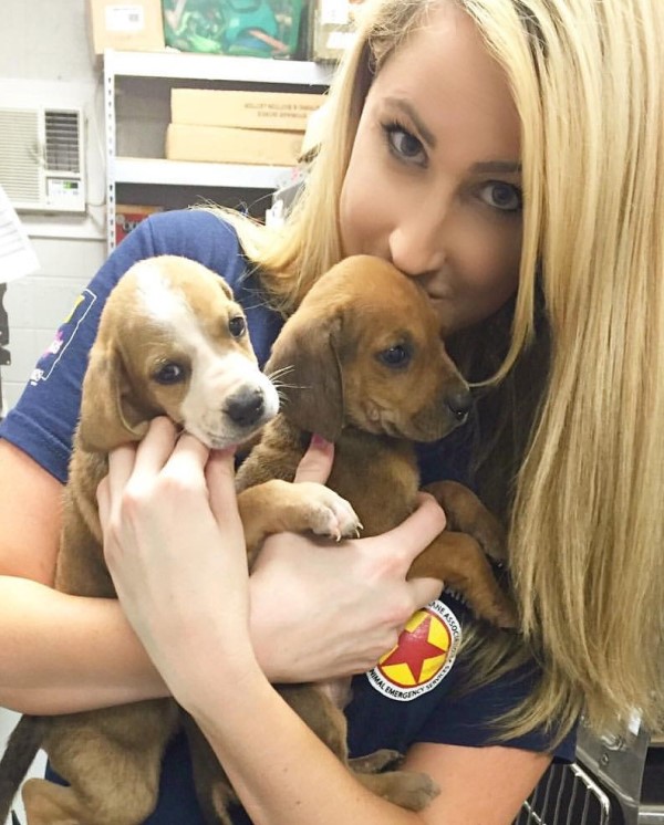 Amber Batteiger holds two puppies at the American Humane Society