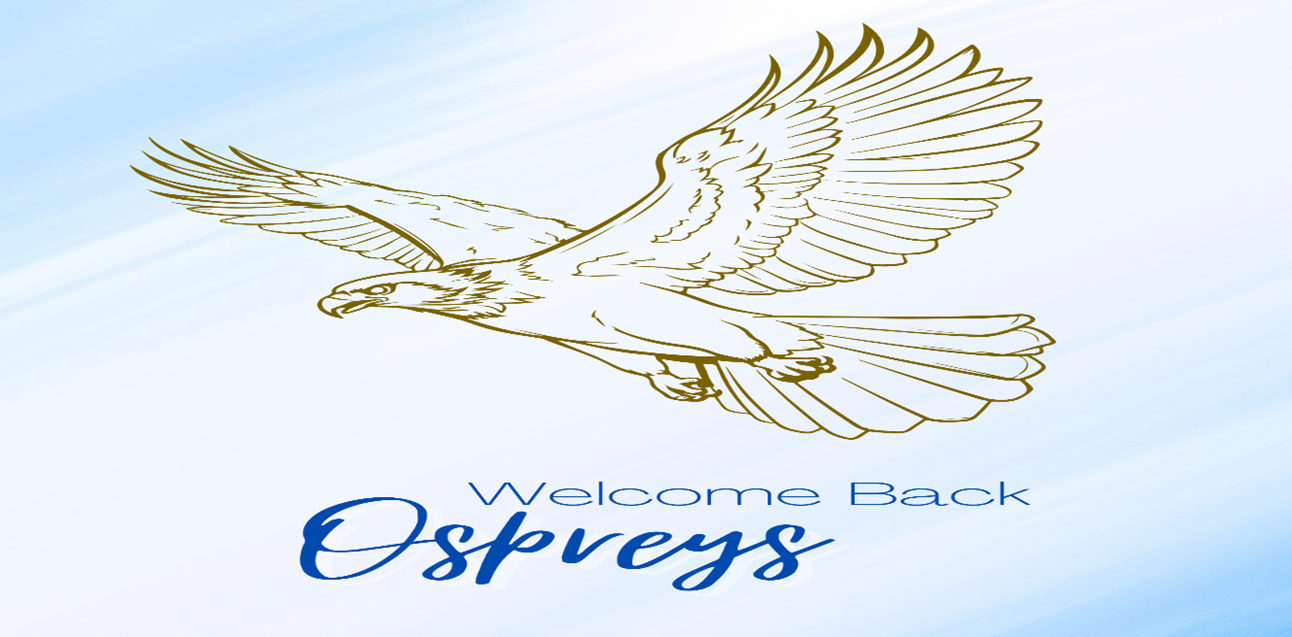 Welcome Back Ospreys Image
